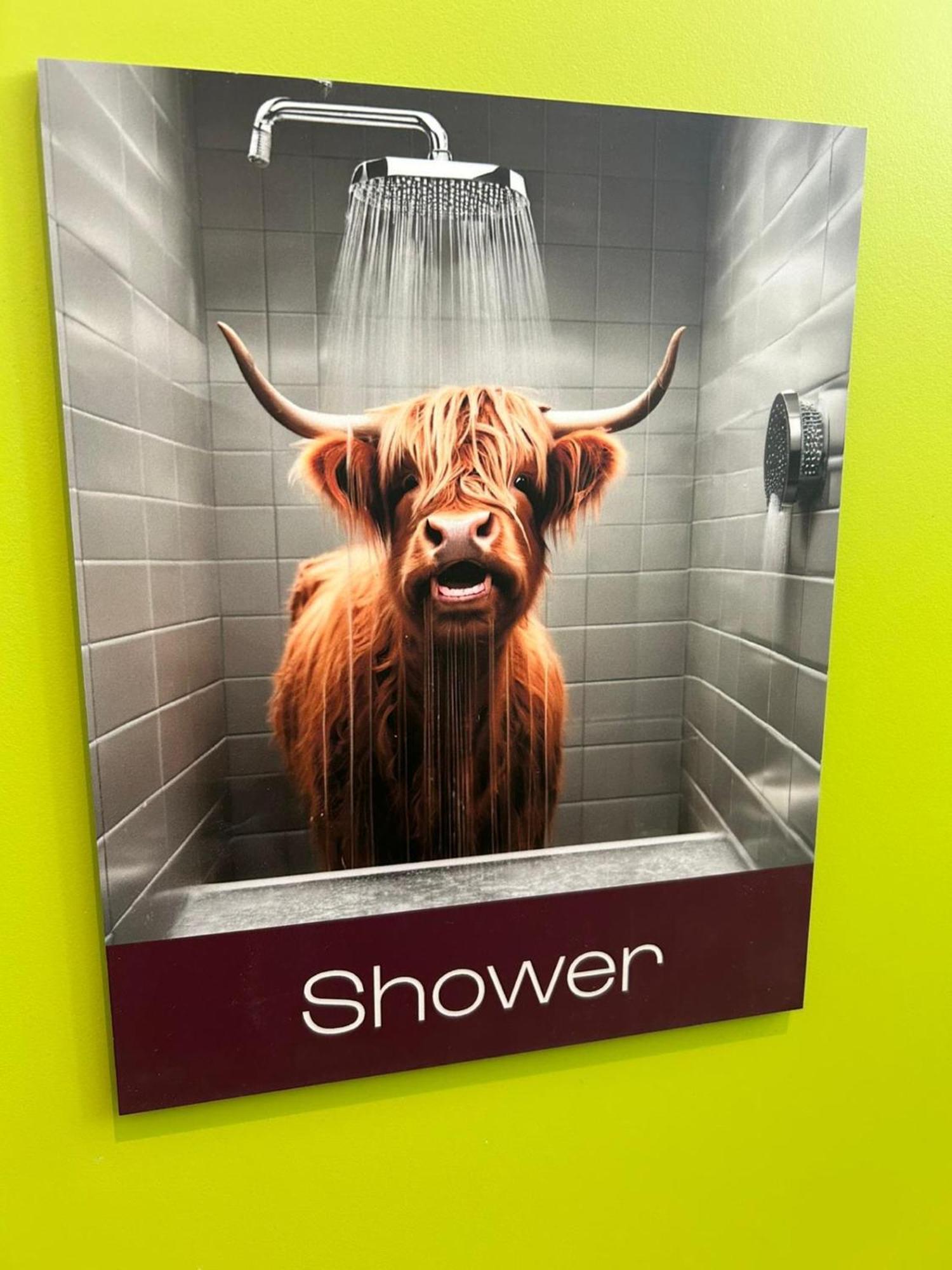 Safestay Edinburgh Cowgate ภายนอก รูปภาพ